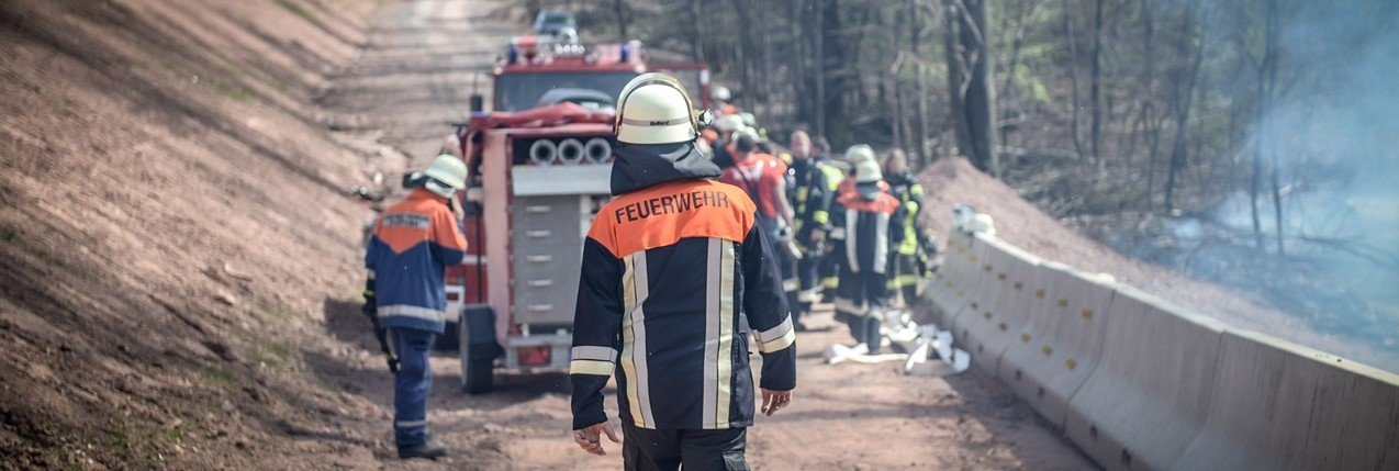 Vista traseira de um bombeiro em plena marcha. Ao fundo vê-se um carro de bombeiros num caminho florestal e um grupo de bombeiros a trabalhar.