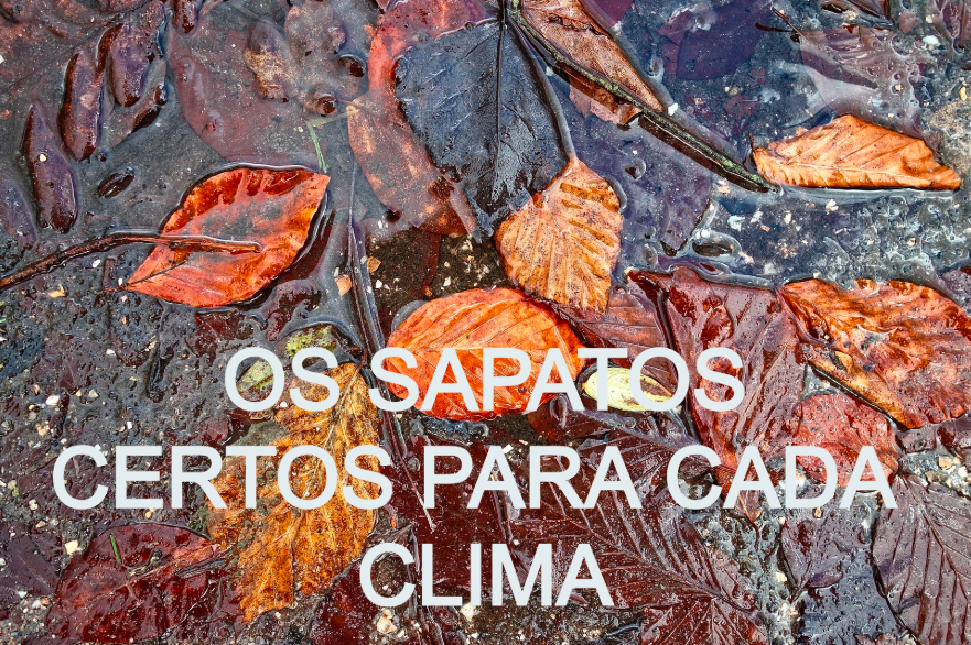Folhas de outono coloridas sobre um solo molhado pela chuva. Texto em branco: 'O calçado certo para qualquer clima'. Link para nossos sapatos Aqua incluído.